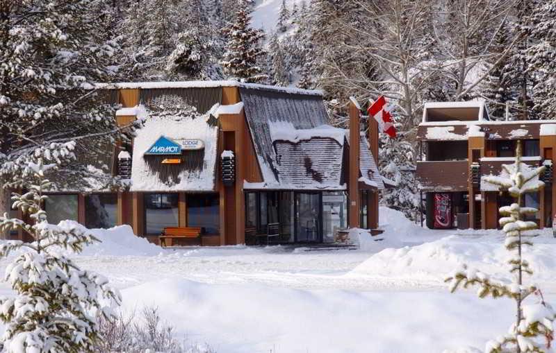 Marmot Lodge Jasper Dış mekan fotoğraf